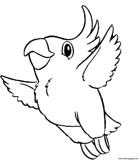 cute parrot bird  coloring page printable