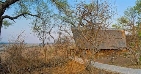 muchenje safari lodge in chobe national park luxury