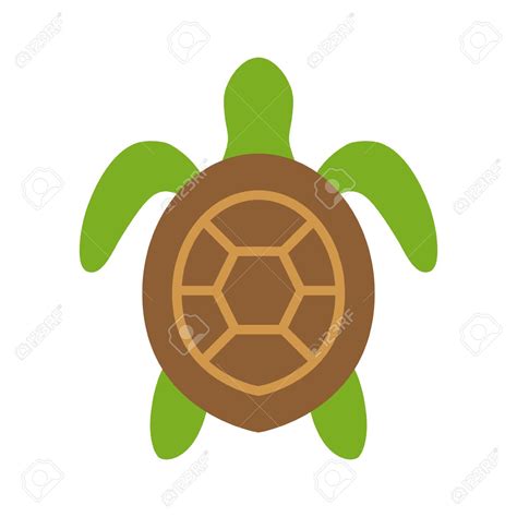 aerial view  turtle clipart   cliparts  images