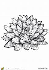 Fleur Chine Encre Dessiner Hugolescargot Mandalas Coloring Peinture Visiter Dessinee Partager sketch template