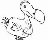 Dodo Bird Coloring Pages Kids Netart 65kb 486px Template sketch template