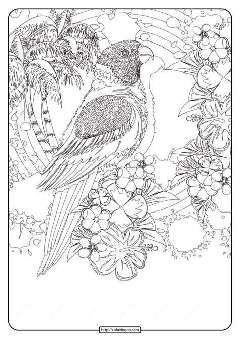printable tropical bird  coloring page coloring pages bird