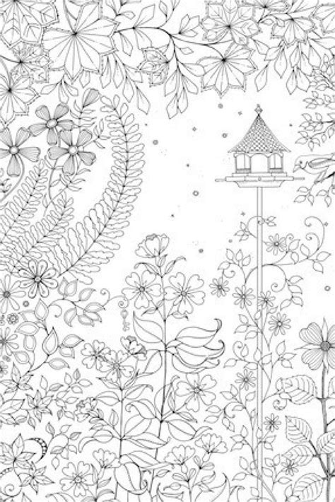 images  coloring pages  pinterest coloring  adults