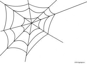 spider web webs spider web coloring pages home decor decals