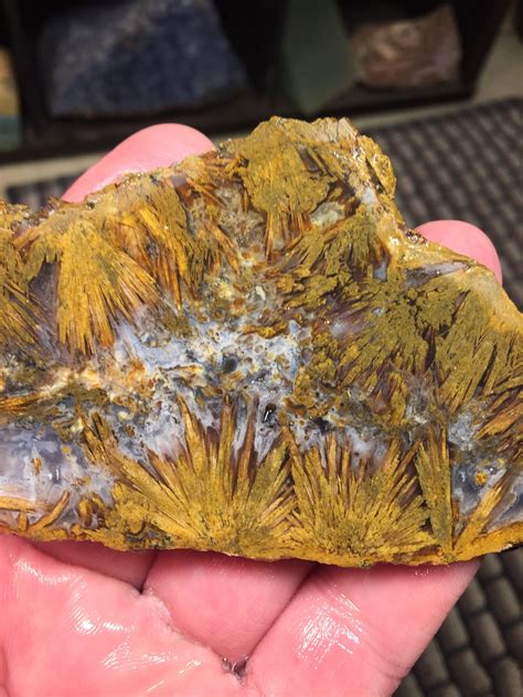 sagenite slab  california rock minerals rocks  gems gems
