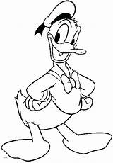Duck Coloring Pages Daffy Baby Getcolorings sketch template