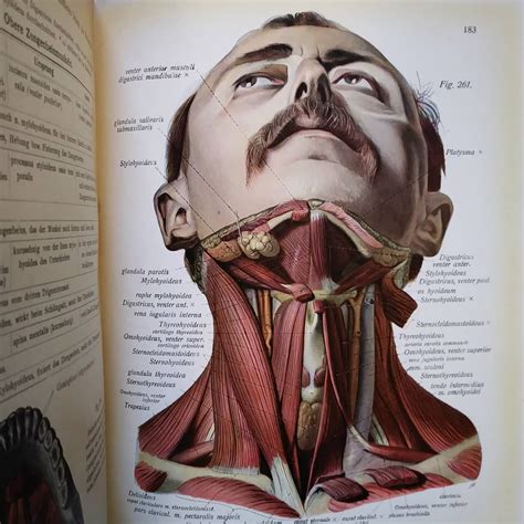 johannes sobotta     german anatomist    atlas