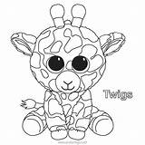 Beanie Boos Twigs Corky Cat Xcolorings Plushy sketch template