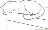 Cat Sleeping Pages Coloring Table Cats Kitty Template sketch template