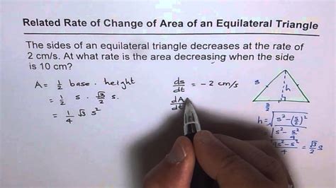 related rate  change  area  equilateral triangle calculus