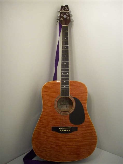 montana acoustic guitar