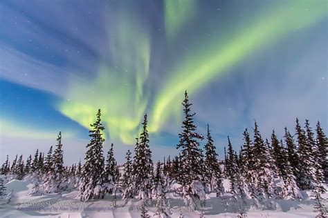 boreal aurora  amazing sky