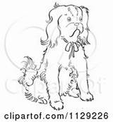Outlined Dog Cavalier Charles King Coloring Clipart Vector Cartoon Spaniel Sitting Picsburg Scottie Rug sketch template