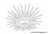 Urchin Sea Drawing Color Coloring Print Illustration Google Visit Search sketch template