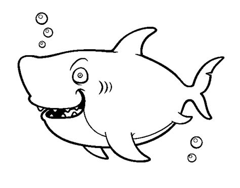 whale shark coloring page coloringcrewcom