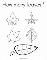 Coloring Leaves Many Leaf Pages Jungle Autumn Drawing Color Number Worksheets Kids Print Twistynoodle Books Printable Large Leave Book Comments sketch template