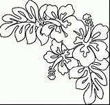 Hawaiian Flower Coloring Flowers Hawaii Drawing Pages Getdrawings sketch template