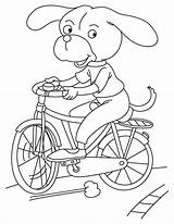 Riding Bicycle Coloring Dog Pages sketch template