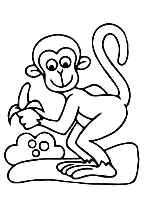 printable coloring pages monkey