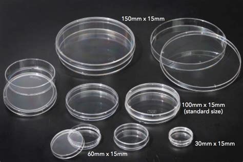 petri dishes plastic mm  mm common size sleeve