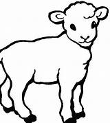 Colorat Animal Lamb Miel Sheep Plansa Cordeiro Colorir Sfatulmamicilor Planse Oita Desenhos Mielul Pascal Frumusica sketch template