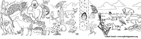 coloring pages  animal habitats  coloring page