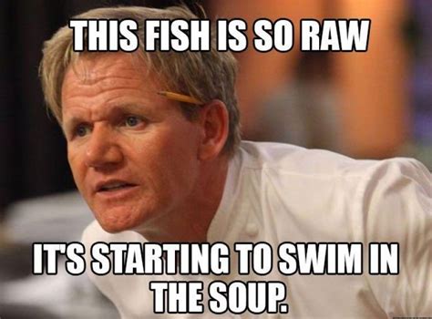 gordon ramsay memes  biting insults gud story