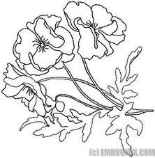 poppy template poppy coloring page flower coloring pages flower drawing