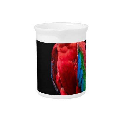 parrot portrait drink pitcher spring gifts beautiful diy spring time  year drink pitcher