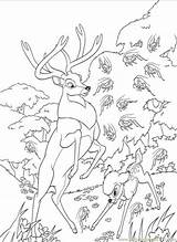 Coloring Bambi Roe sketch template