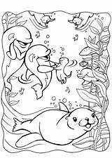 Otter Getdrawings Otters sketch template