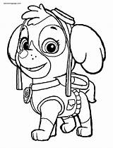 Patrol Paw Coloring Pages Skye Puppy Printable Pups Ausmalbilder Snow Kids Air Easter sketch template