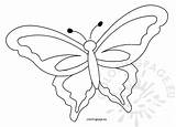 Butterfly Template Printable Outline Drawing Spring Coloring Body Templates Butterflies Pages Colouring Getdrawings Clipart Paintingvalley sketch template
