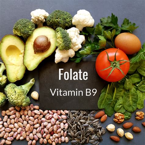 folate  folic acid vitamin  gastrolife