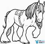 Clydesdale Shire Horses Clipartmag Justcoloringbook sketch template