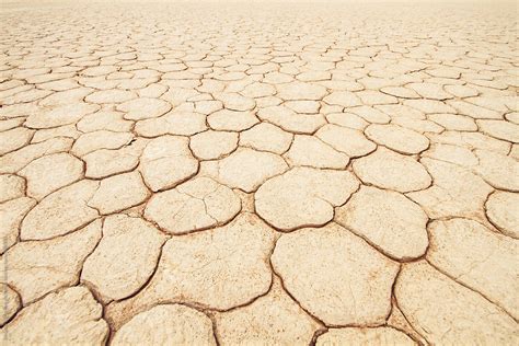 parched dry ground   desert texture pattern  stocksy