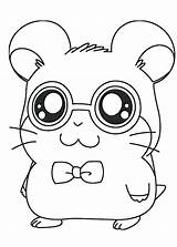 Hamster Coloring Pages Glasses Kids sketch template