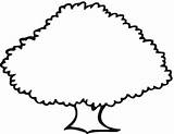 Tree Oak Outline Coloring Clipart Printable Clip Drawing Trees Old Simple Cartoon Cliparts Sketch Kids Pages Use Library Color Print sketch template