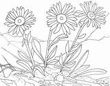 Flowers Three Coloring Kids Color Pages Print Cute sketch template