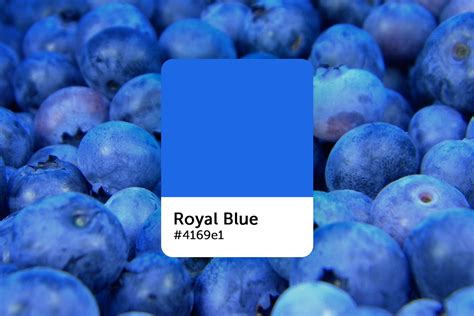 royal blue color codes meaning palette ideas picsart blog