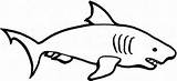 Shark Drawing Simple Drawings Kids Coloring Blue Color Clipart Easy Line Basic Cool Clipartbest Sharks Draw Clip Cute Pencil Cliparts sketch template