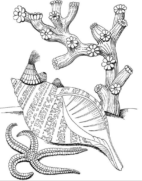 kids   underwater world coloring pages coloring pages