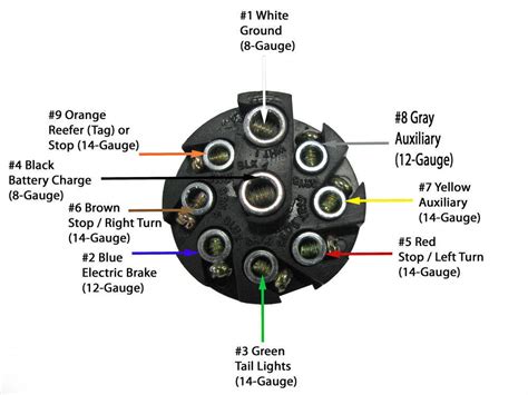 wiring diagram   pin trailer connector