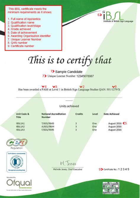 ibsl certificate ace website