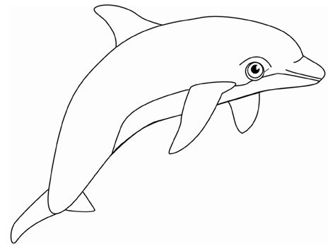 printable coloring pages dolphins  lunawsome