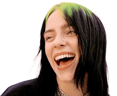 billie eilish pirate baird oconnell png image png  png