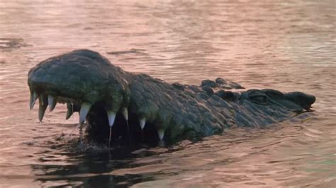 crocodile horror movies worth tearing