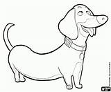 Sausage Dog Buddy Coloring sketch template