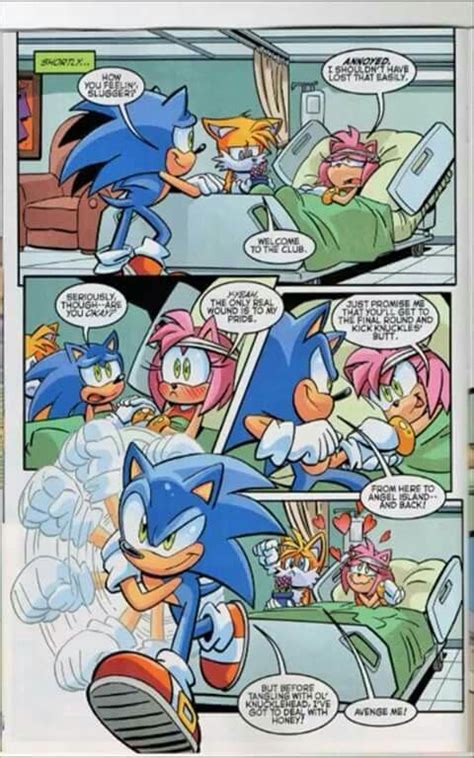 pin by mirian l on comic sonic the hedgehog hedgehog sonic franchise