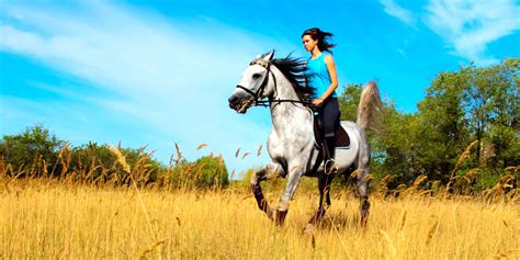 safety tips  summer horseback riding golden ocala